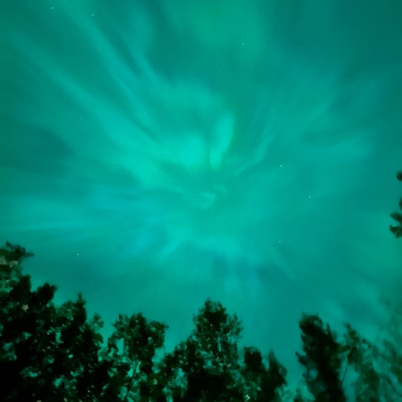 Meet your Posher, Corinna - Picture 1 of 1